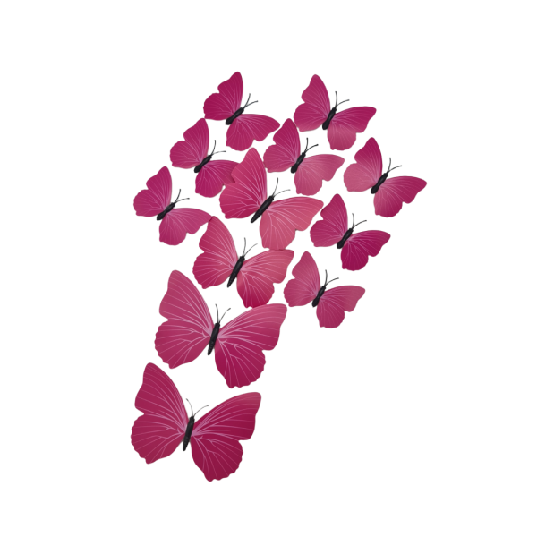 Set of 12 pieces 3D butterflies with magnet, house or event decorations, rose red color, A45